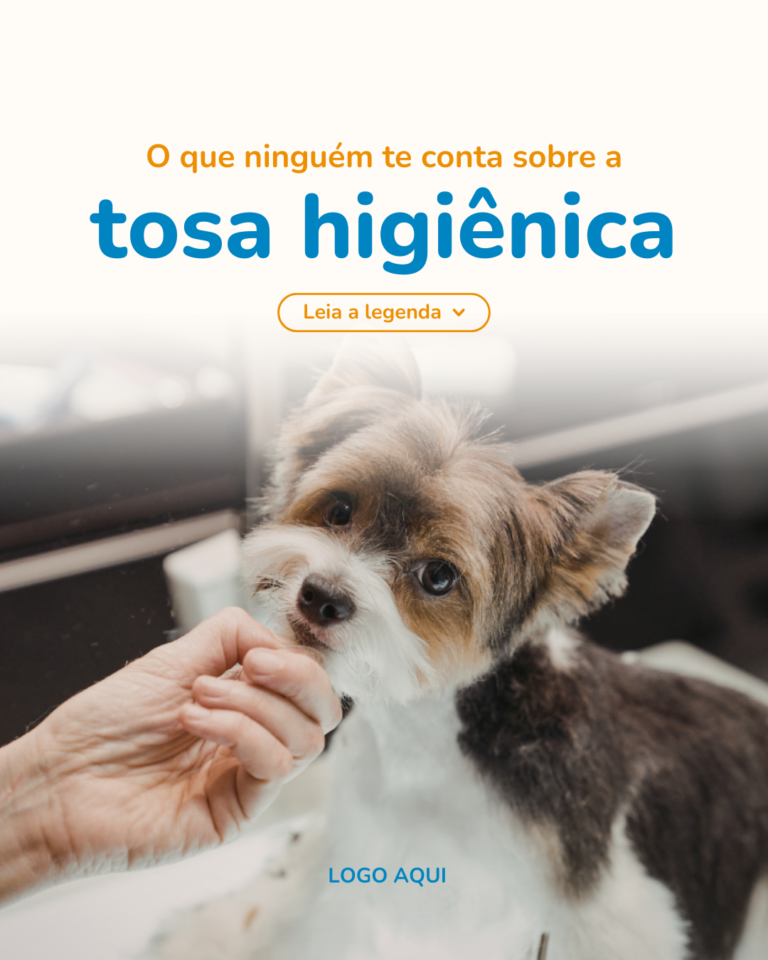 Banho & tosa-2